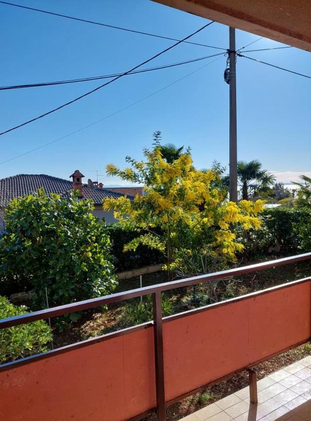 Rubin Apartment Ika Bagian luar foto